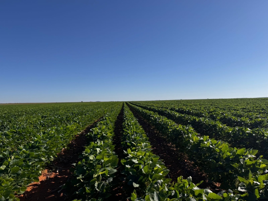 12 Bedroom Property for Sale in Bloemfontein Rural Free State